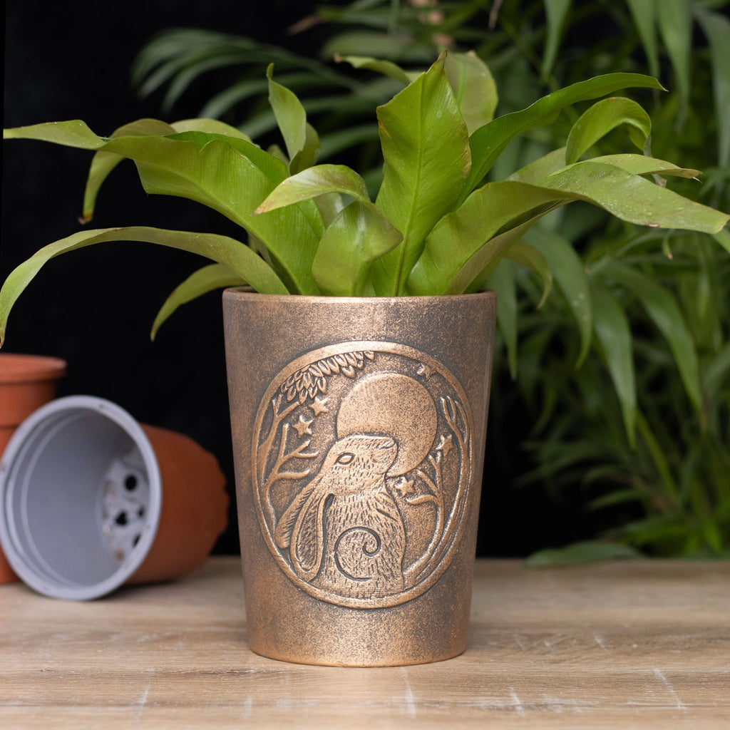 Earth and Elements Jewellery

https://www.earthandelements.co.uk › products › moon-gazing-hare-bronze-terracotta-plant-pot