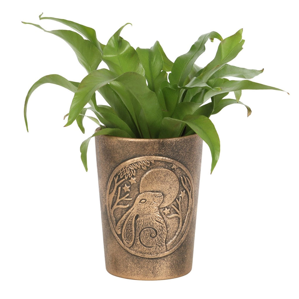 Earth and Elements Jewellery

https://www.earthandelements.co.uk › products › moon-gazing-hare-bronze-terracotta-plant-pot